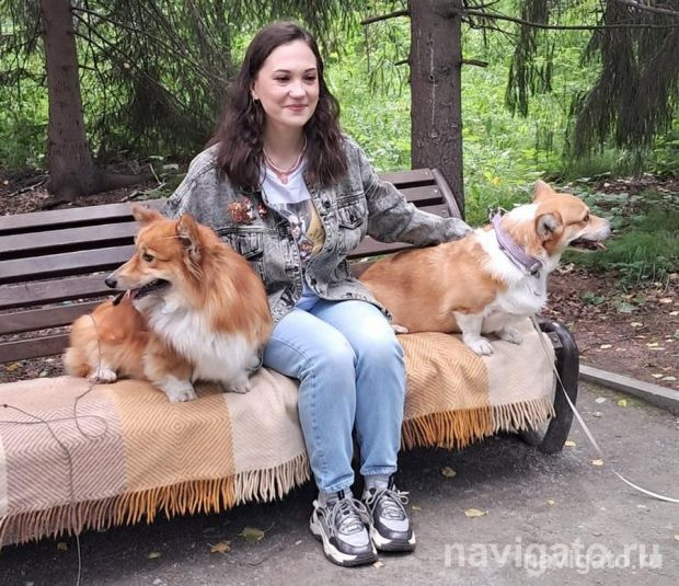 Рекордный сбор