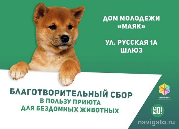 Сбор для трёх приютов