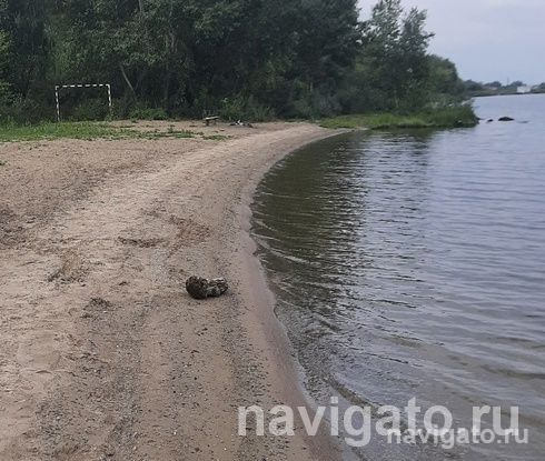 Сезон детских травм