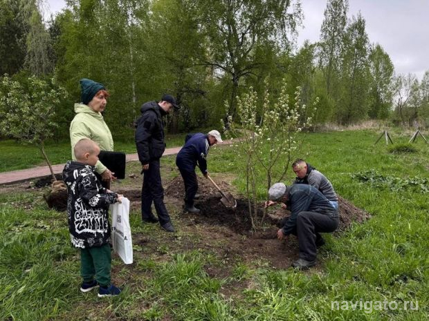 Спасибо депутату Стрельникову