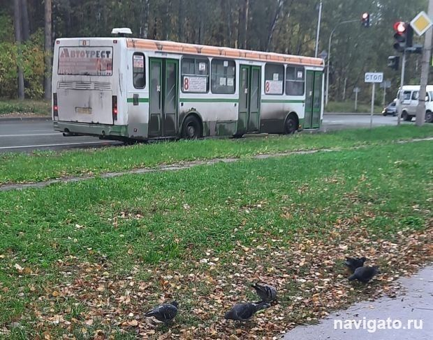 Спасибо за заботу и внимание