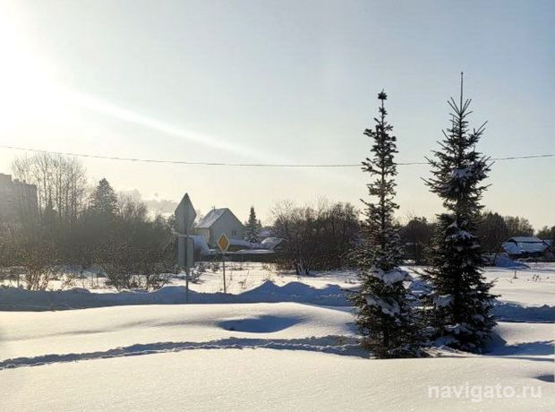 Спилили треугольную ёлку