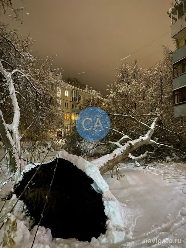 Сюрпризы погоды