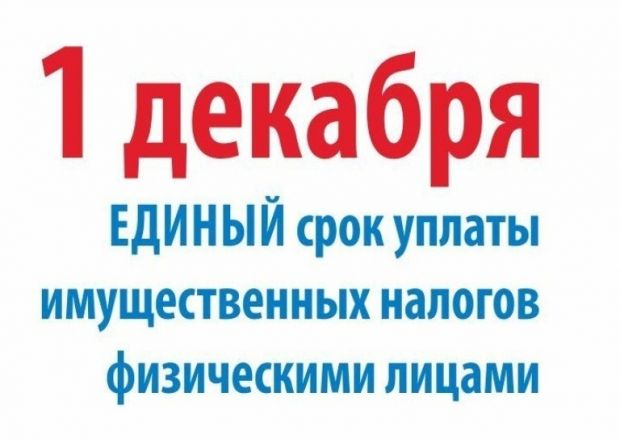 Уплатите налоги до 1 декабря