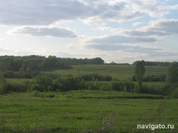 В лес за дарами природы