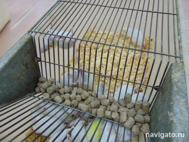 В помощь после болезни