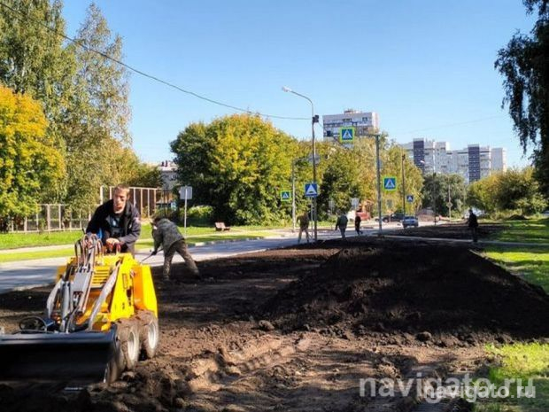 В районе обновят газоны