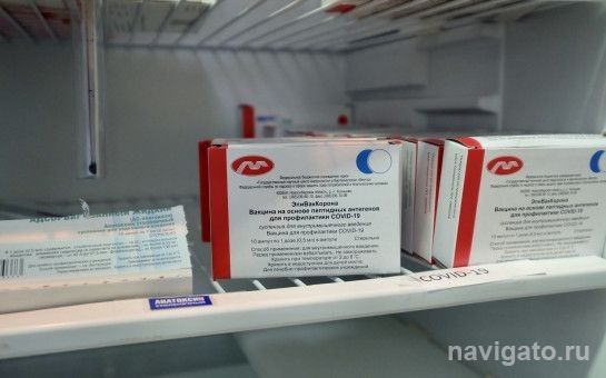 Вакцинация беременных