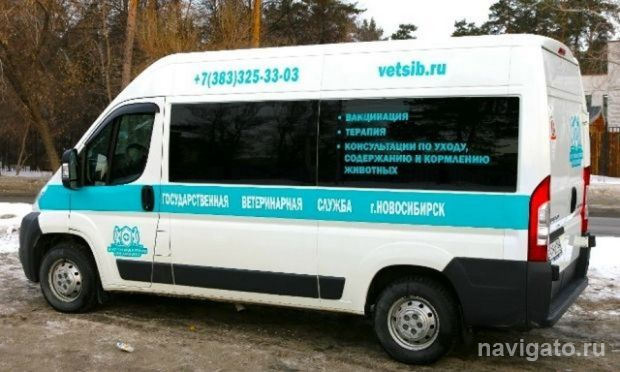 Вакцинация кошек и собак