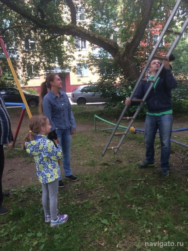 За спасение котёнка