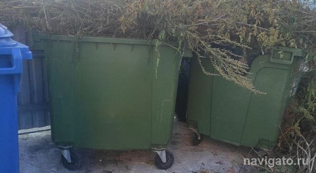 За выброс веток – штраф