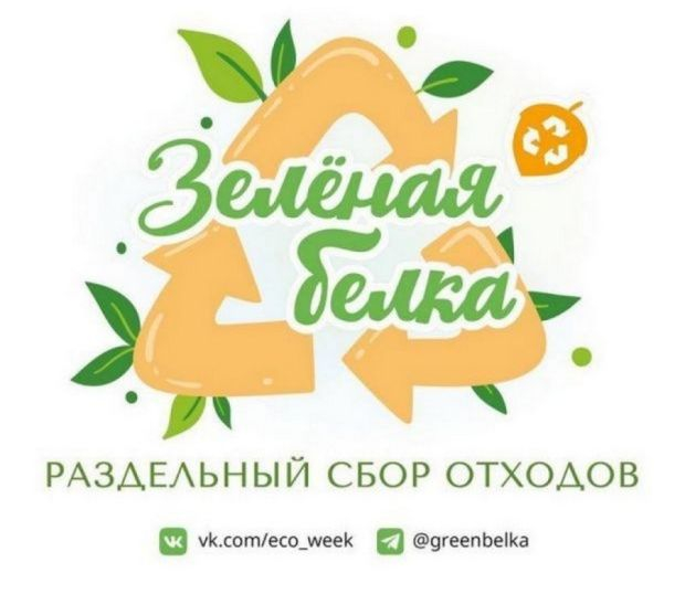 «Зелёная белка» в районе