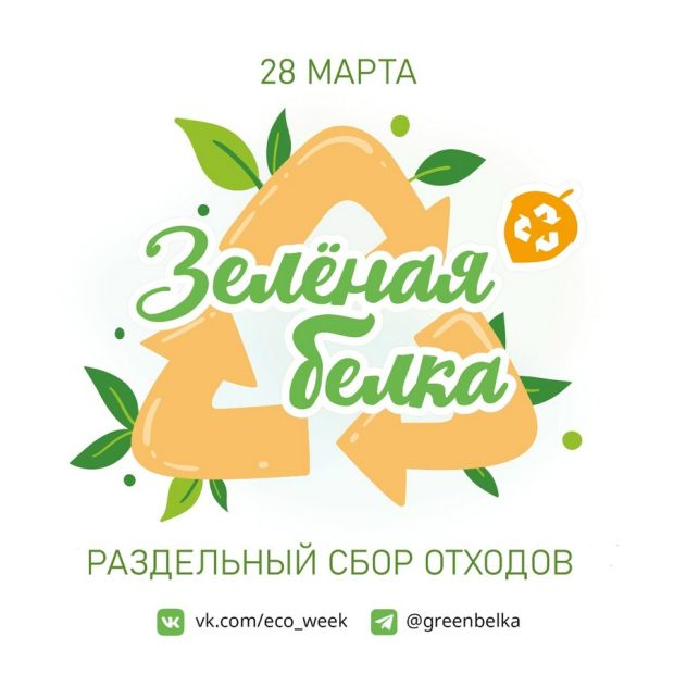 «Зелёная белка» в районе