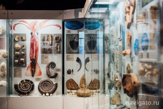 Земля полмиллиарда лет назад