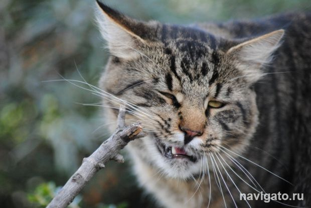 Зимний режим работы