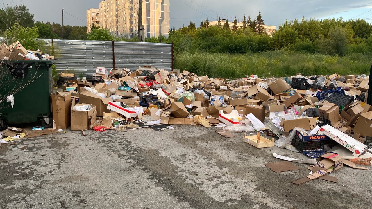 Свалка мусора в Нижней Ельцовке продолжает расти | 06.07.2024 | Новосибирск  - БезФормата