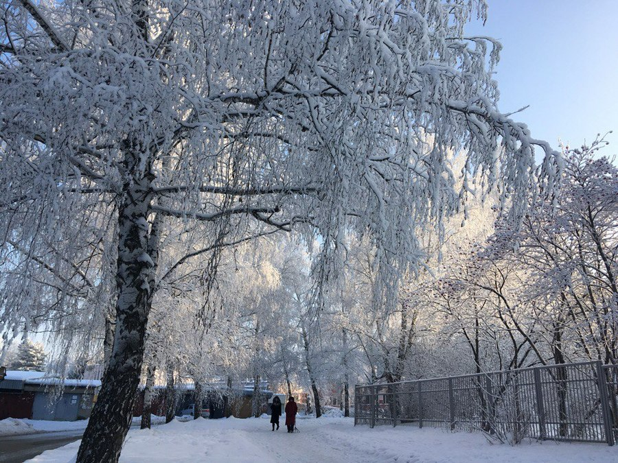 Сильные морозы в новосибирске. Новосибирск Мороз. Новосибирск в зимние Морозы. Новосибирск Мороз фото города. Сильные Морозы в Якутске.