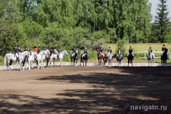Стартовали конные игры на Кубок мэра Новосибирска