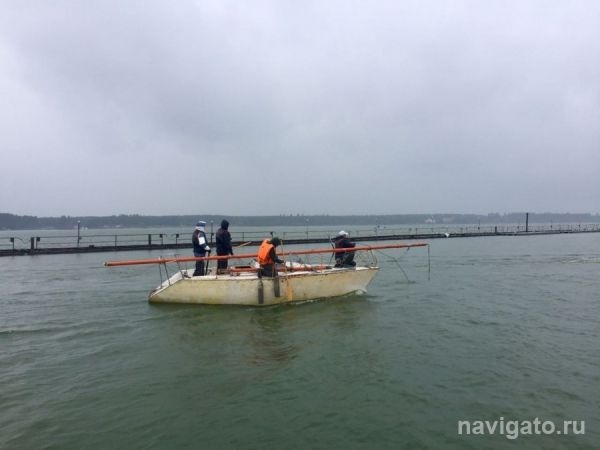 Три яхты сломали мачты во время бури на Обском море