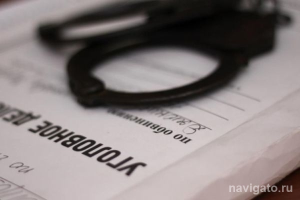Сотрудники полиции раскрыли грабеж в Бердске