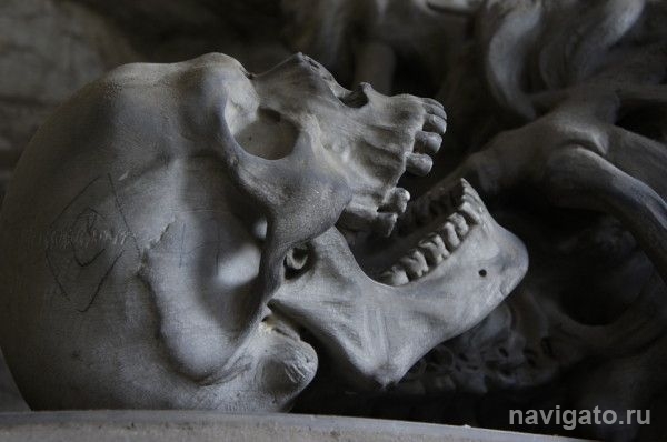 Скелет мужчины нашли грибники в лесу Бердска