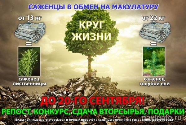 Макулатуру можно обменять на саженцы