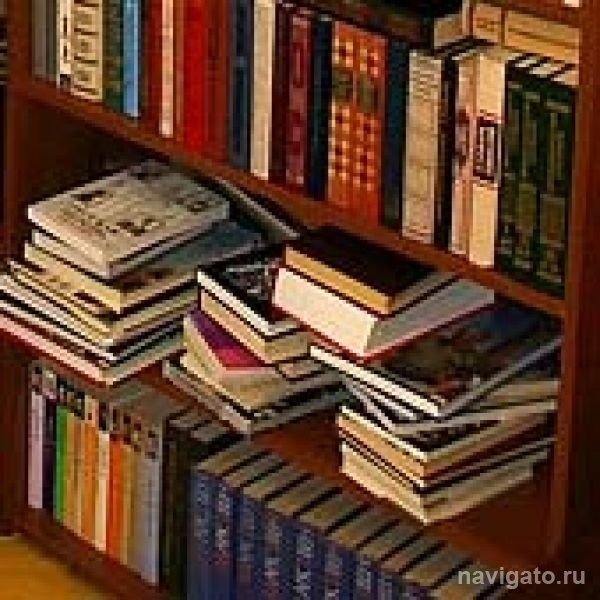 В библиотеке имени Лаврентьева поговорят о будущем