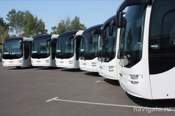 Власти ищут перевозчика на маршрут до Цветного проезда