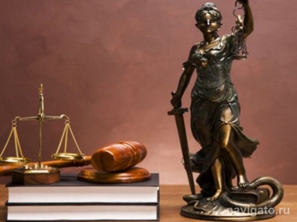 Жители Новосибирска могут получить бесплатную консультацию юриста