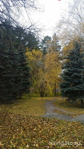 Скоро станет тепло: синоптики обещают до 10 градусов тепла в ближайшие дни