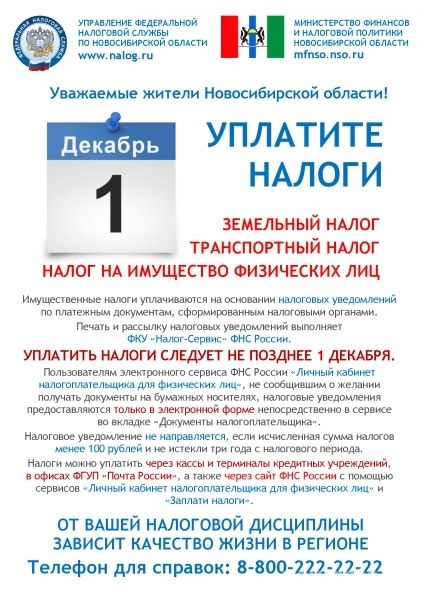 Жителям Советского района напоминают: заплатить налоги необходимо до 1 декабря