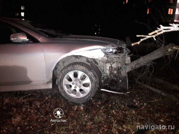 В ДТП в Академгородке пострадало дерево