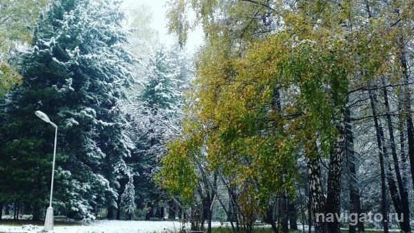 Дождь и мокрый снег обещают синоптики на выходные