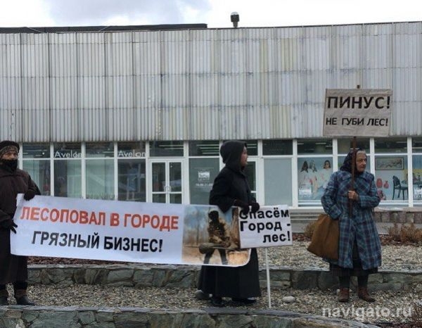 Кто захочет жить в «городке-пне» и что будет с пенсионерами?
