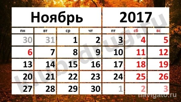 Первая неделя ноября порадует новосибирцев дополнительным выходным