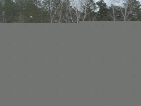 Стартовало зимнее первенство футбольной Лиги ветеранов СО РАН