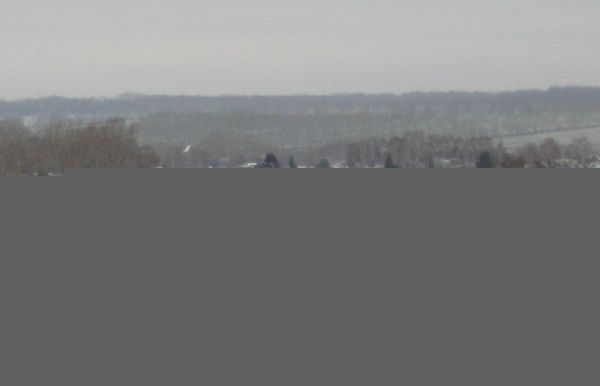В садовых обществах Шлюза дали свет