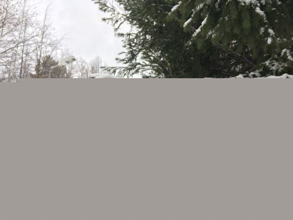Тепло и без снега: синоптики рассказали о погоде в ближайшие дни