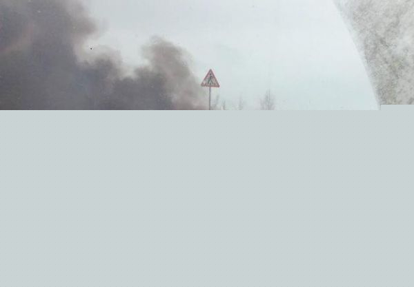 На бердском шоссе сгорела иномарка