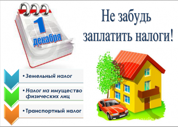 Налоговая инспекция Советского района будет работать без обеда 25 ноября