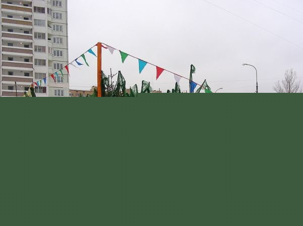 66 ёлочных базаров планируют открыть в Новосибирске