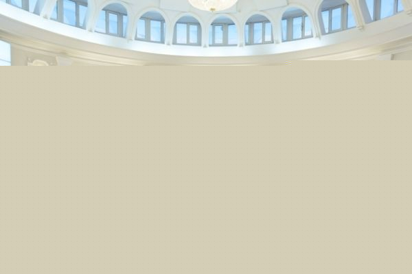 Ученые НГУ получили мегагранты Правительства РФ