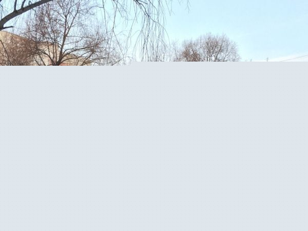По мотивам советского мультика «Каникулы в Простоквашино»