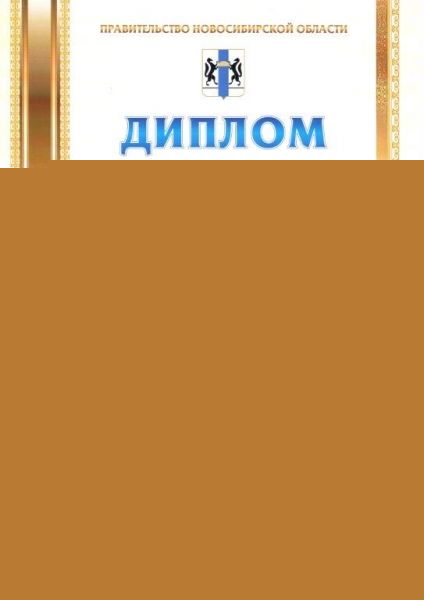 Новосибирская ГЭС признана организацией высокой социальной эффективности