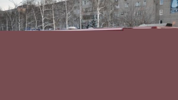 Горячий телефон о работе пассажирского транспорта доступен семь дней в неделю