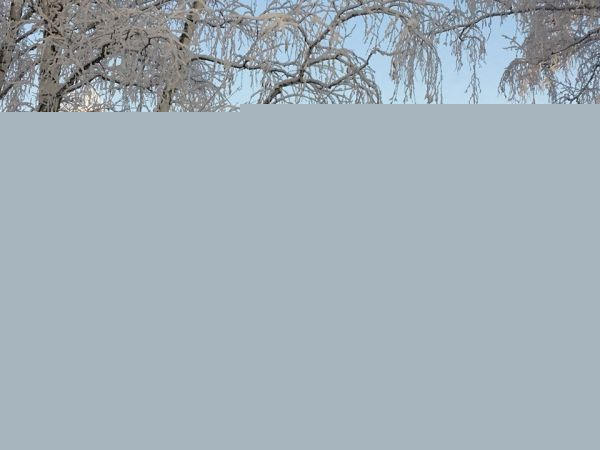 Возле гимназии №3 откроют каток