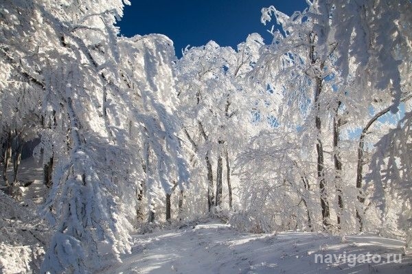 Впереди морозы до -30