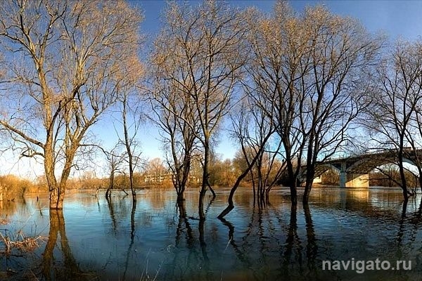 Первую волну паводка ждут на следующей неделе