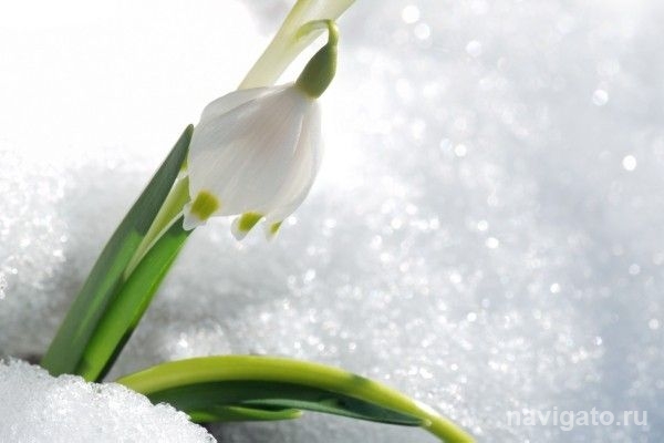 Погода в Новосибирске 11-12 апреля: на Пасху похолодает