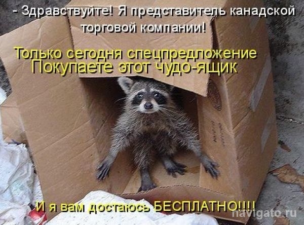 Раскрыто ограбление коробейника